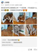 客戶(hù)見(jiàn)證