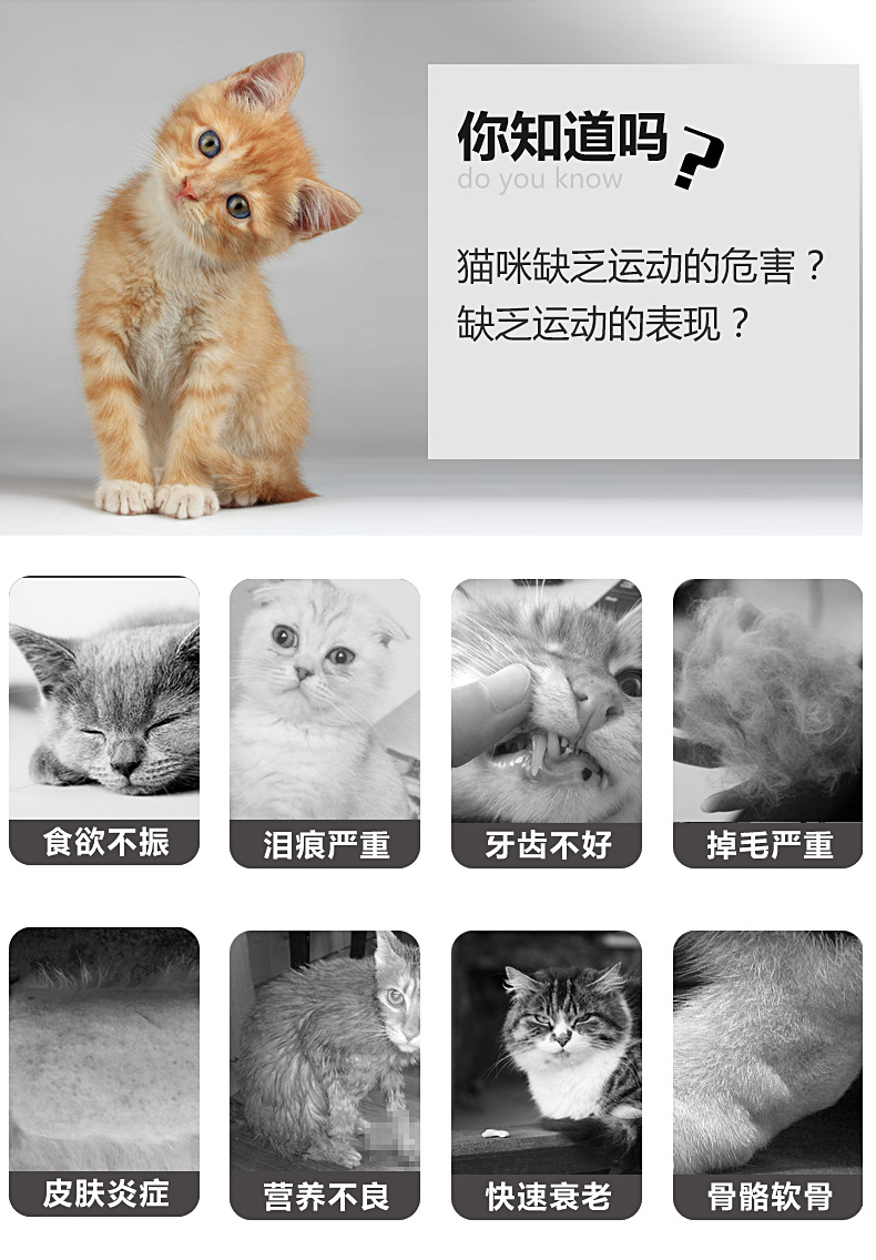 寵物用品,貓薄荷球,貓玩具